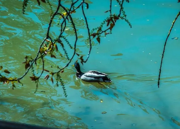Un Nido Sul Fiume Apartmán Ferrara